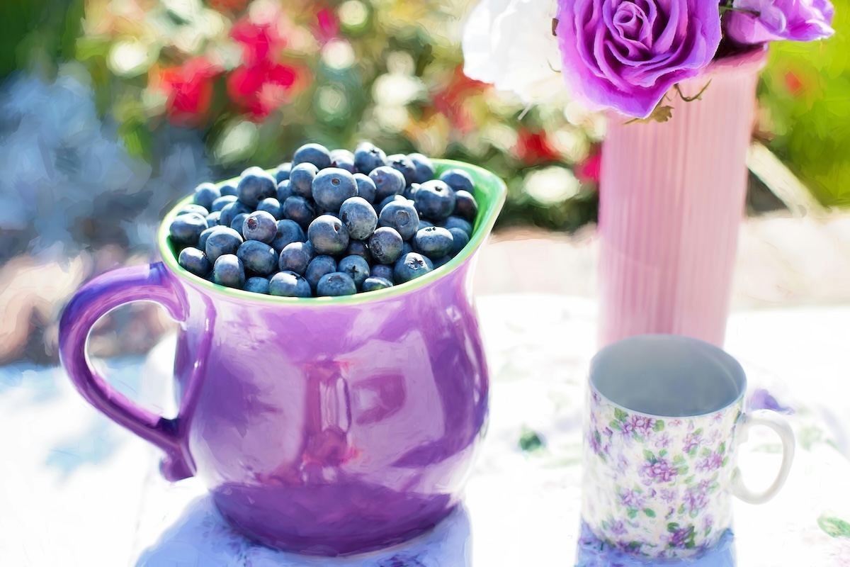 blueberries in a purple pitcher