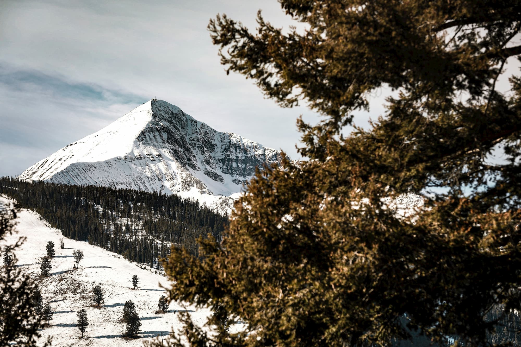 green and brown trees on snow covered mountain during daytime