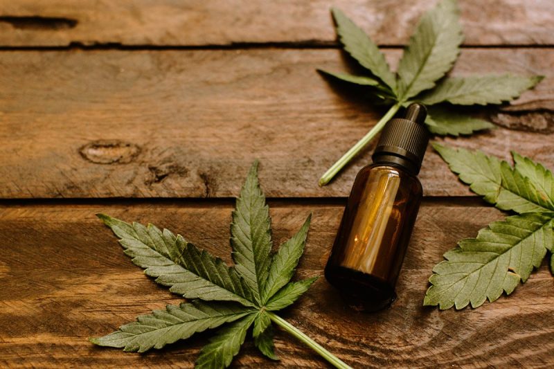 CBD oil with hemp leaves around it