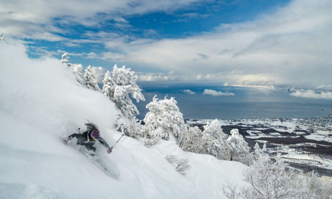 Skier in Japan powder